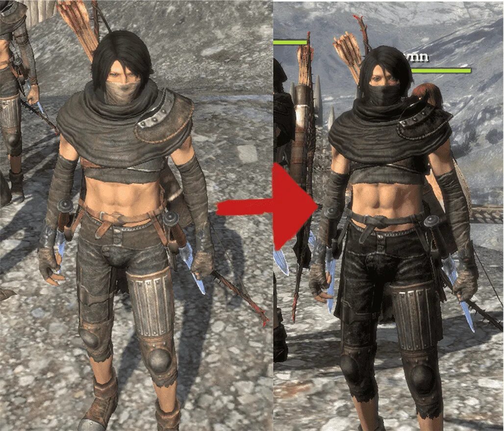 Dogma mods. Dragon's Dogma одежда. Dragon's Dogma броня женская. Dark Arisen броня. Dragon's Dogma Dark Arisen Armor.