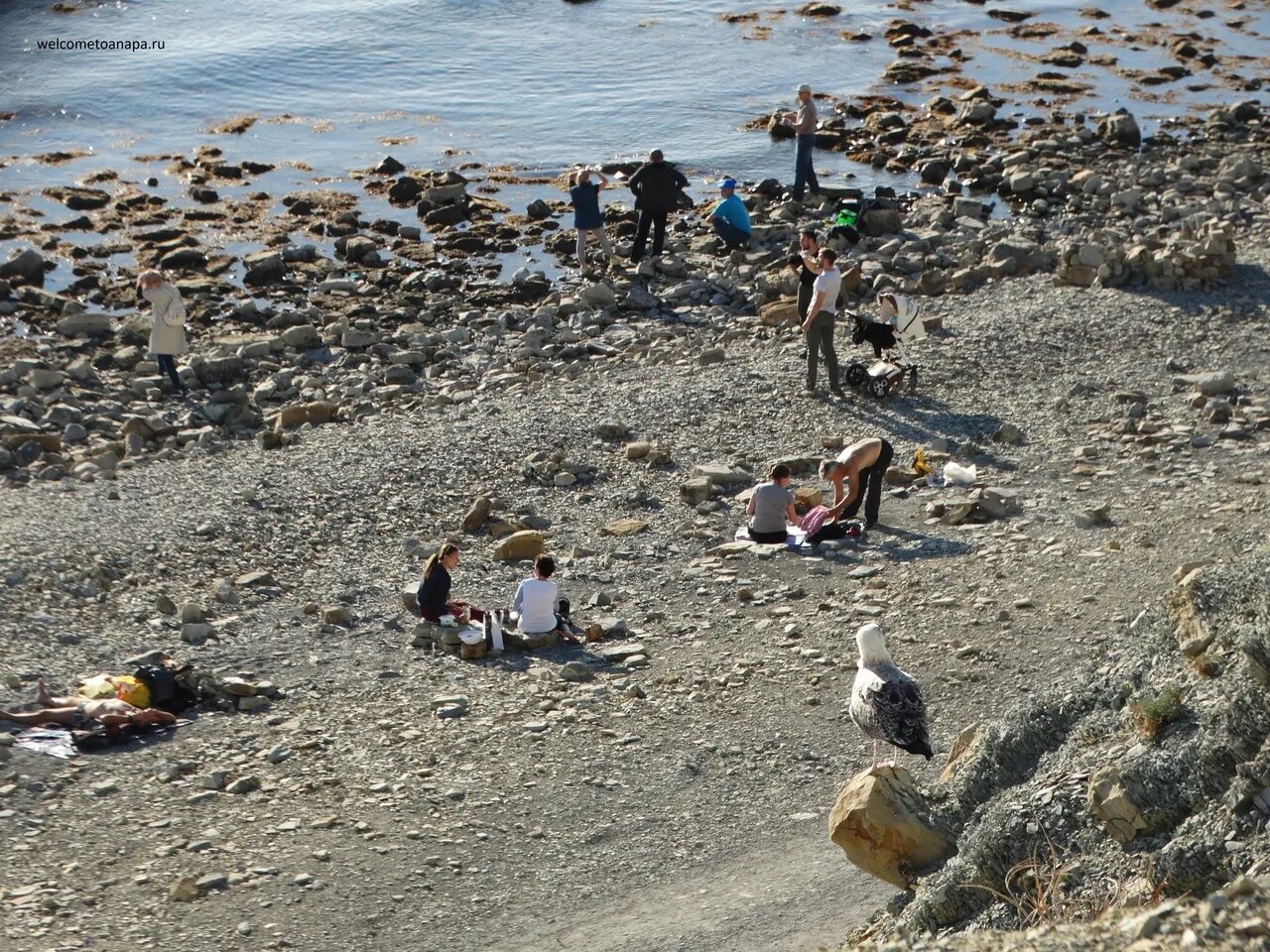 Анапа отлив моря. Большой отлив воды в Анапе. Вода в анапе на 14