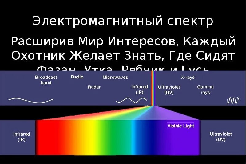 Электромагнитный спектр 2.015/03. Ширина электромагнитного спектра. Диапазоны электромагнитного спектра. Спектр электромагнитных волн.