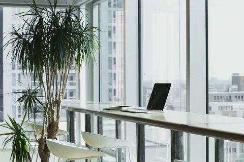 Window office