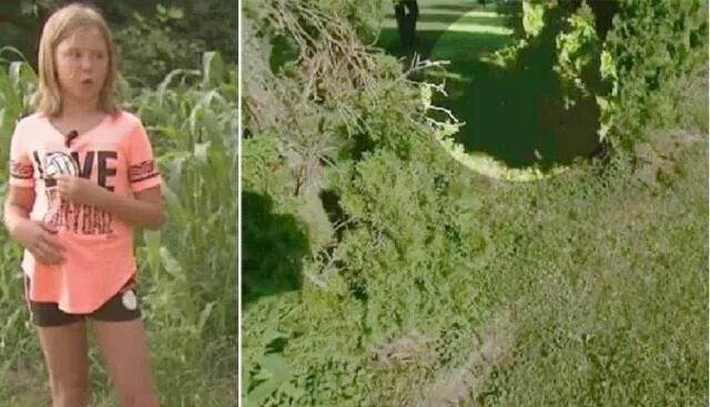Одноклассницу в кустах. Девочка в кустах. девочка в кустах по делам. девочка за кустом. молодая девушка в кустах.