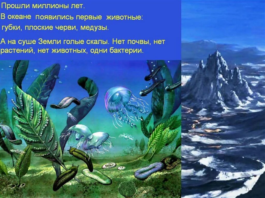 Сколько лет назад зародилась жизнь. Зарождение жизни и Эволюция. Жизнь на земле зародилась. Возникновение жизни на земле для детей. Появление жизни на земле для детей.