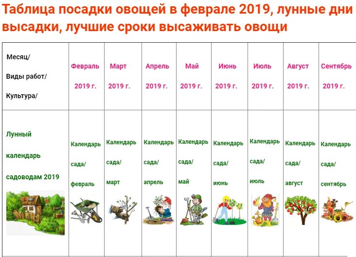 Что можно посадить в феврале на рассаду. Какие растения посадить в феврале. февральские посадки. цветы на рассаду в феврале. что сажать в феврале на рассаду.