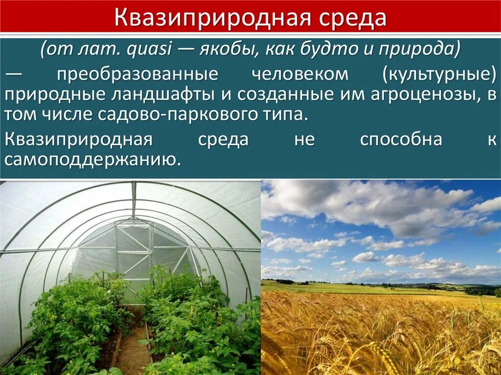 Москва природная среда. Квазиприродная среда. преобразованная людьми природная среда. преобразованная человеком среда природы. преобразованная человеком среда природы квазиприродная.