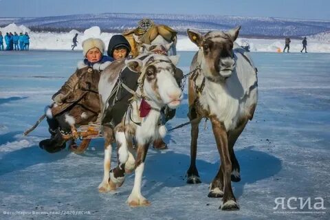 Саха гов