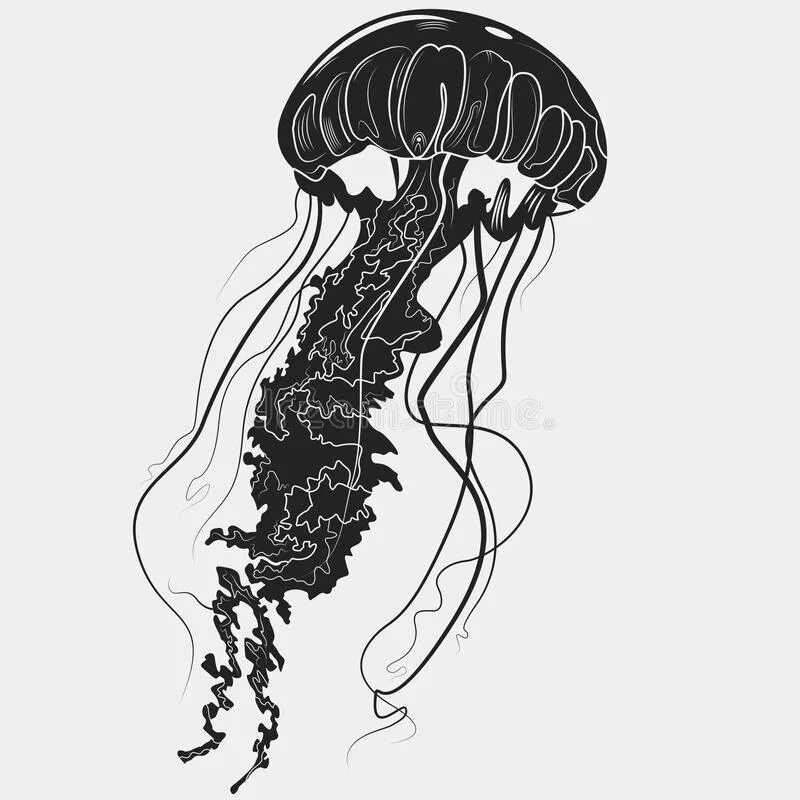 Медуза на белом фоне. Раскраска антистресс медуза. Медуза символ. Jellyfish английский карточки для детей. Карточки медузы.
