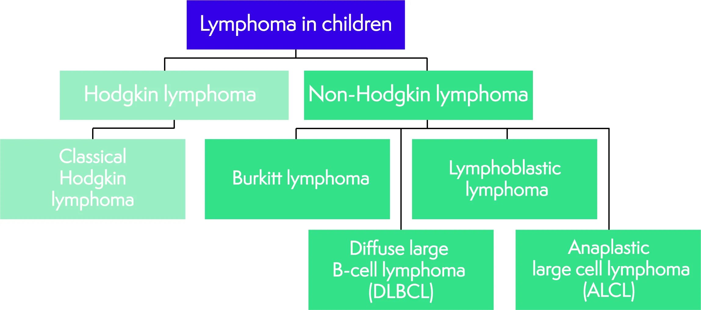 Non factor. Лимфома беркитта патогенез. лимфома ходжкина патогенез. non hodgkin lymphoma classification.