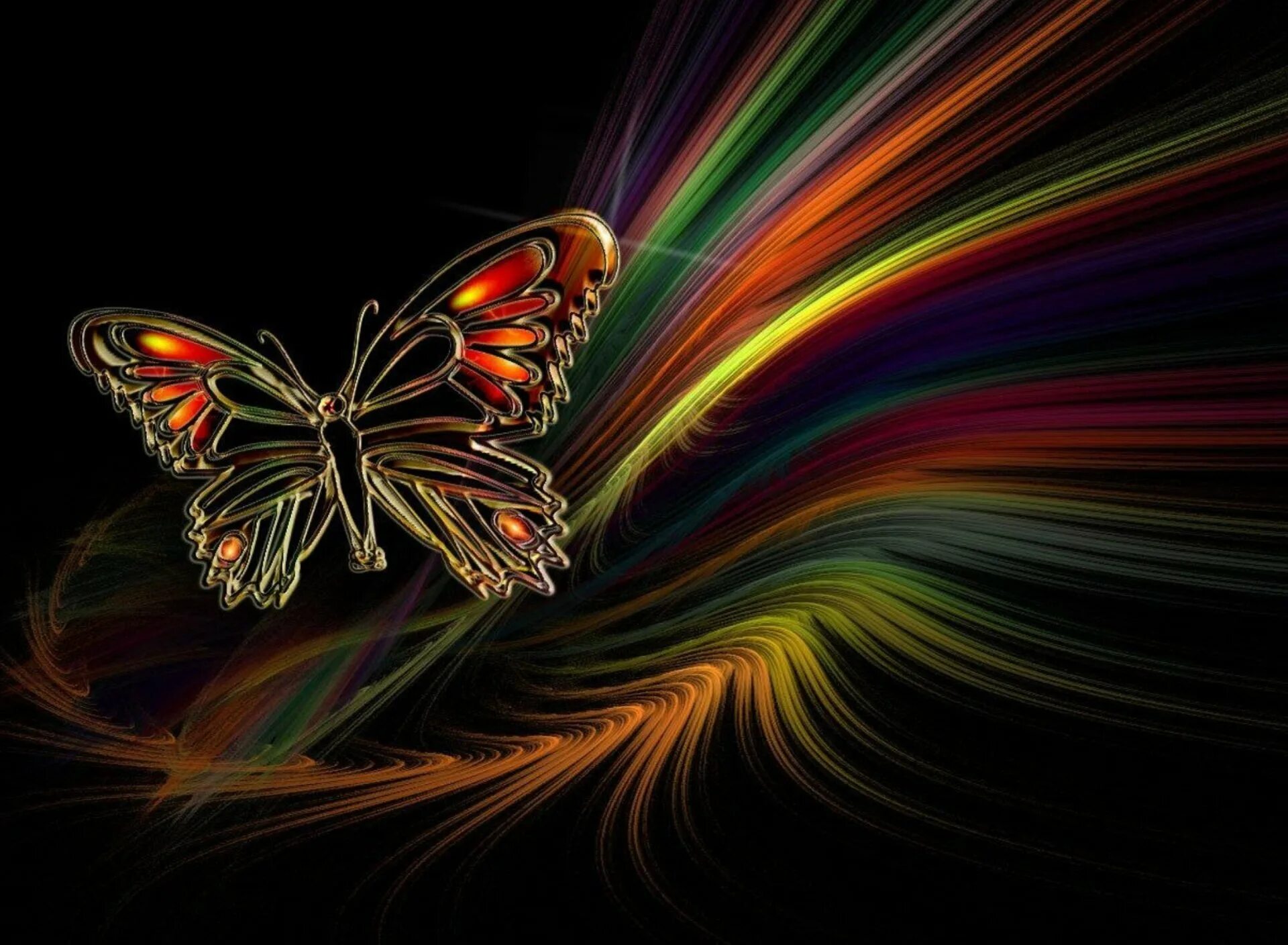 Бабочки. Бабочка абстракция. Заставка бабочки. Яркие обои.