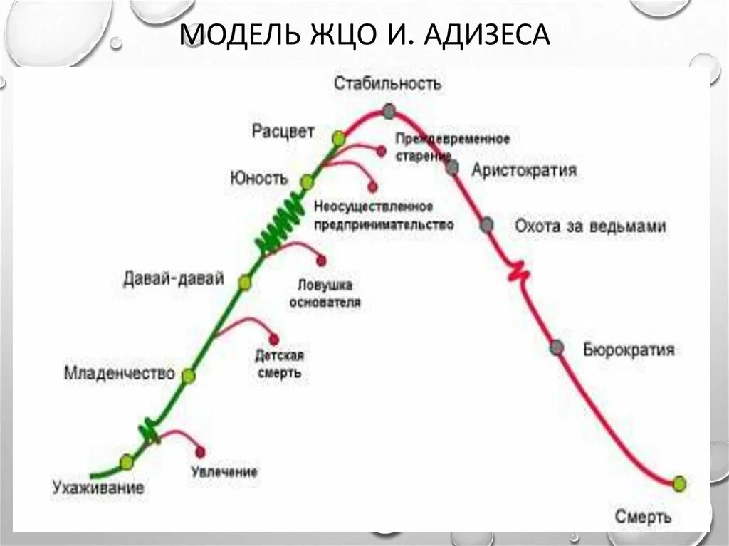 Адизес управление жизненным. Кривая жизненного цикла организации по Адизесу. Жизненный цикл компании Адизес. Ицхак Адизес жизненный цикл организации. Адизес жизненный цикл организации.