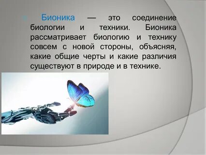 Что такое бионика в биологии 8 класс