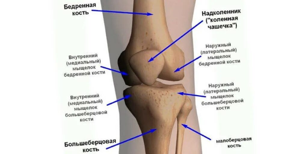 Наружный мыщелок большеберцовой. Болит колено сбоку с внутренней стороны при ходьбе. Болит косточка под коленной чашечкой спереди. Строение колена болит сбоку. Болит колено при сгибании с внутренней стороны сбоку.