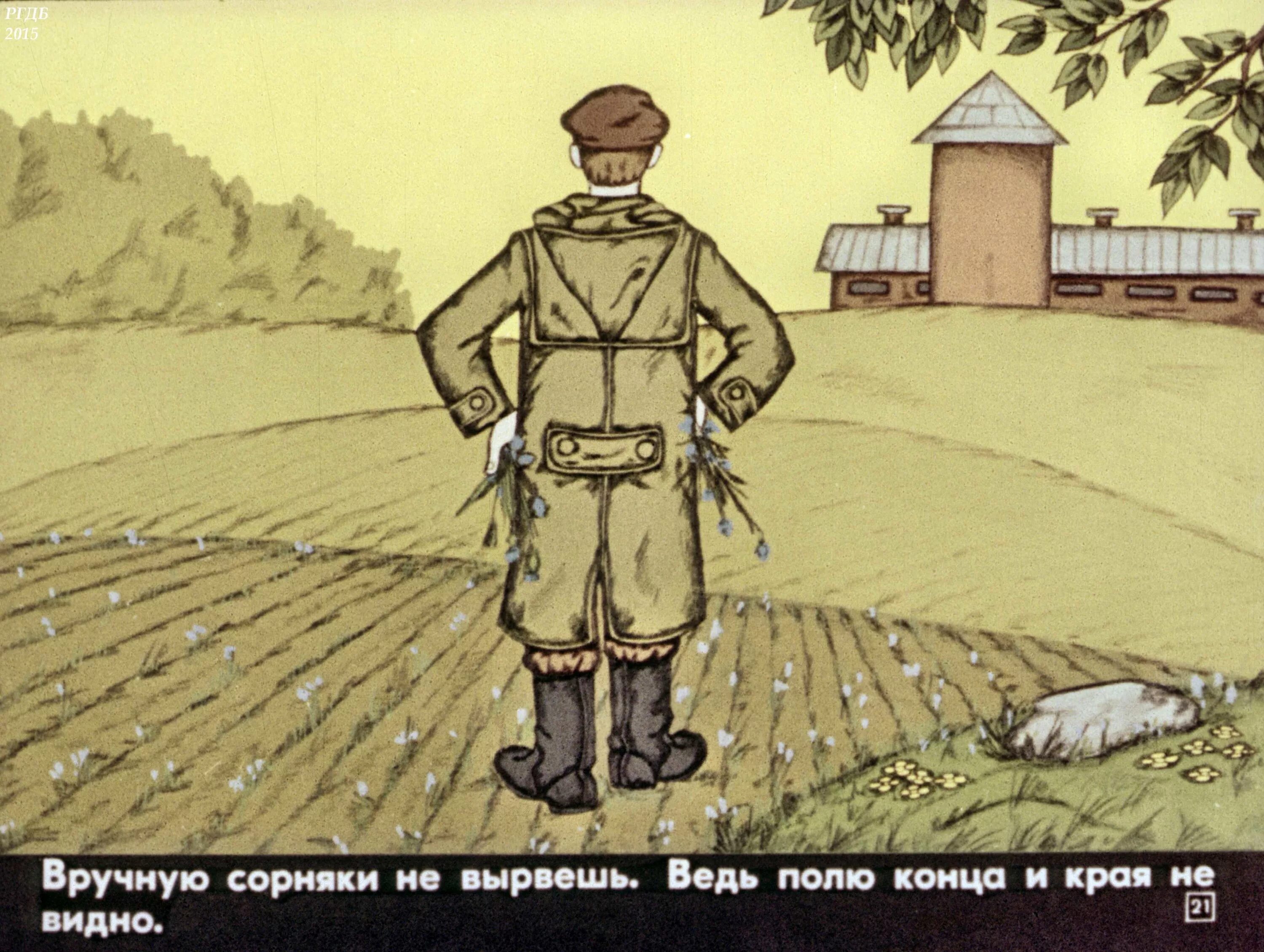 Послушный дождик я.Тайц иллюстрации. Иллюстрации к рассказу тайца послушный дождик. Ю Крутогоров дождь из семян читать.