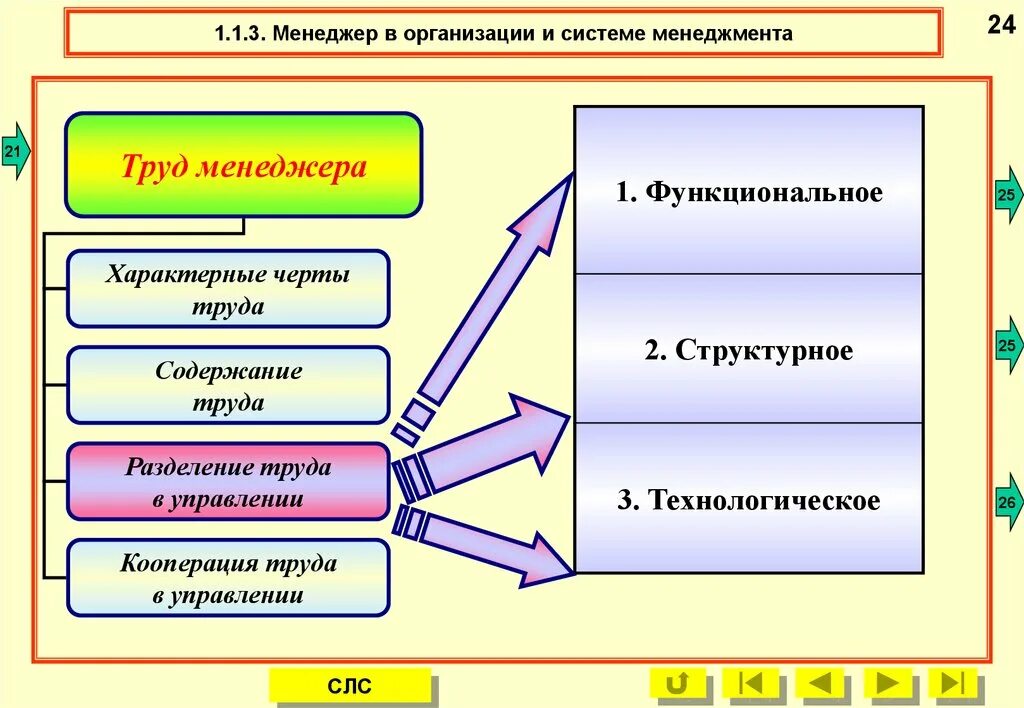 Функциональное содержание организации. Виды разделения труда менеджеров. Характерные черты труда. Разделение труда в организации менеджмент. Функциональное Разделение труда.