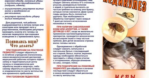 Вши борьба