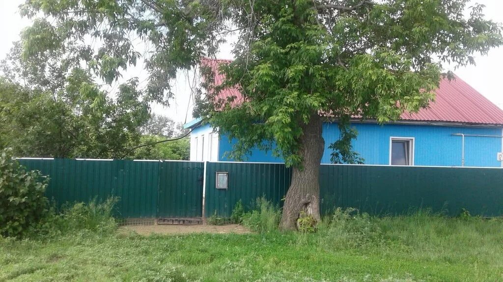 Тарское прииртышье. Прииртышье деревня. Погода прииртышье омская область. Погода прииртышье омская область. Село прииртышье омская область.