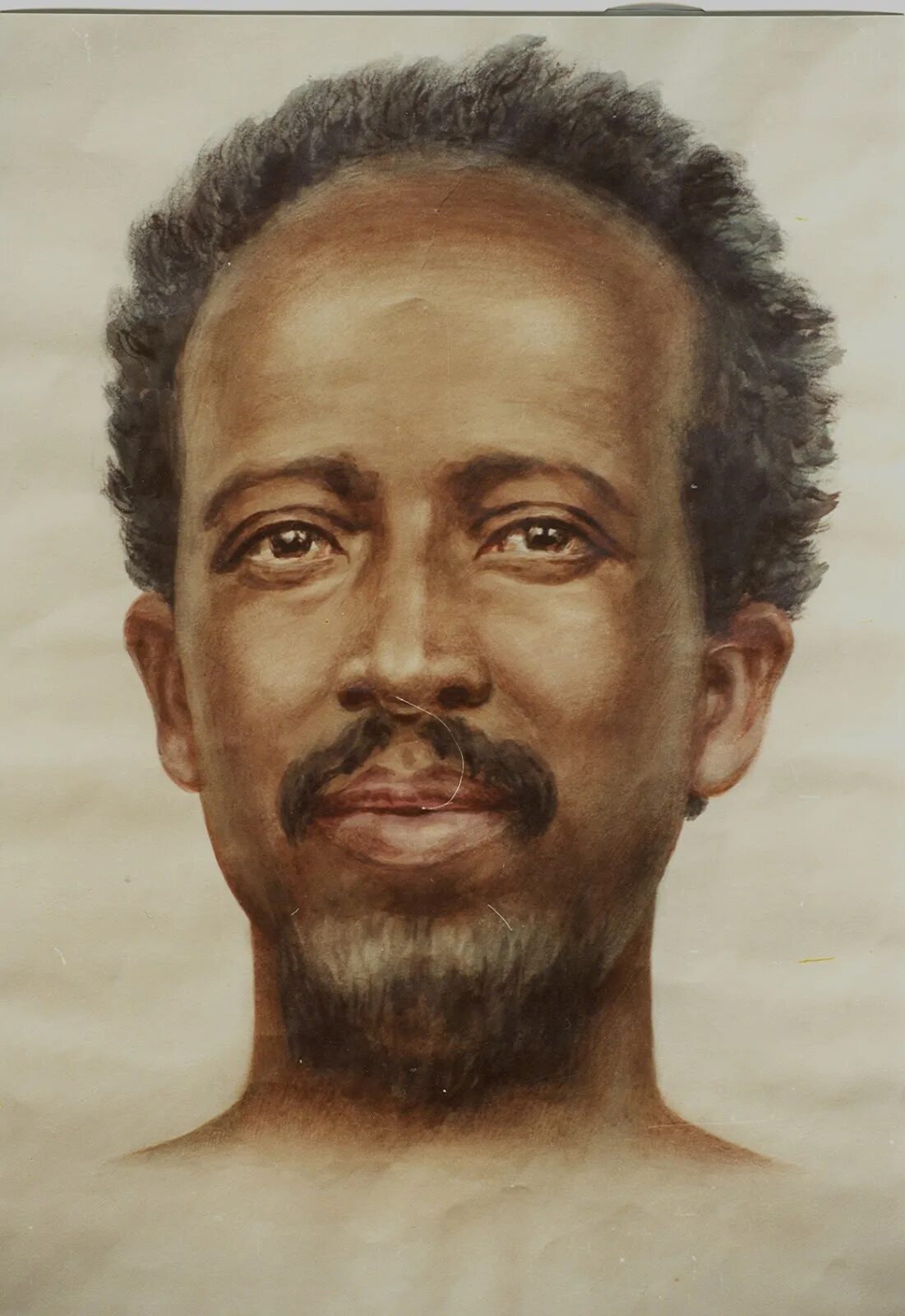 Негроиды. Эфиопская раса. Восточноафриканская (эфиопская) раса. Эфиопская раса и негроидная раса. Эфиопы негроиды.