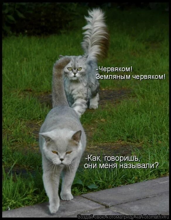 Они меня обзывают. Они меня обзывают. Кто обзывается тот сам так. Кто обзывается так и называется. А еще червяком земляным червяком.