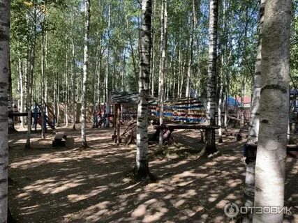 Токсово гагарина 22 лесничество