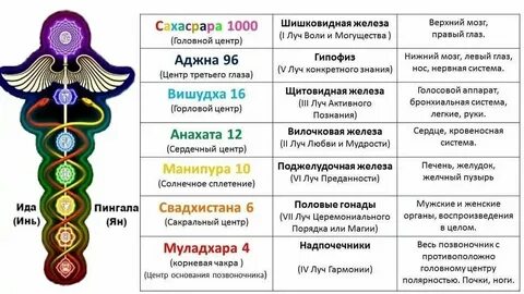 Связь с родом по органам