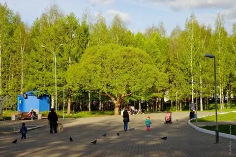 Кировский парк