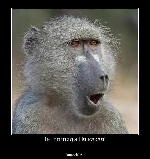 Ля какая значение