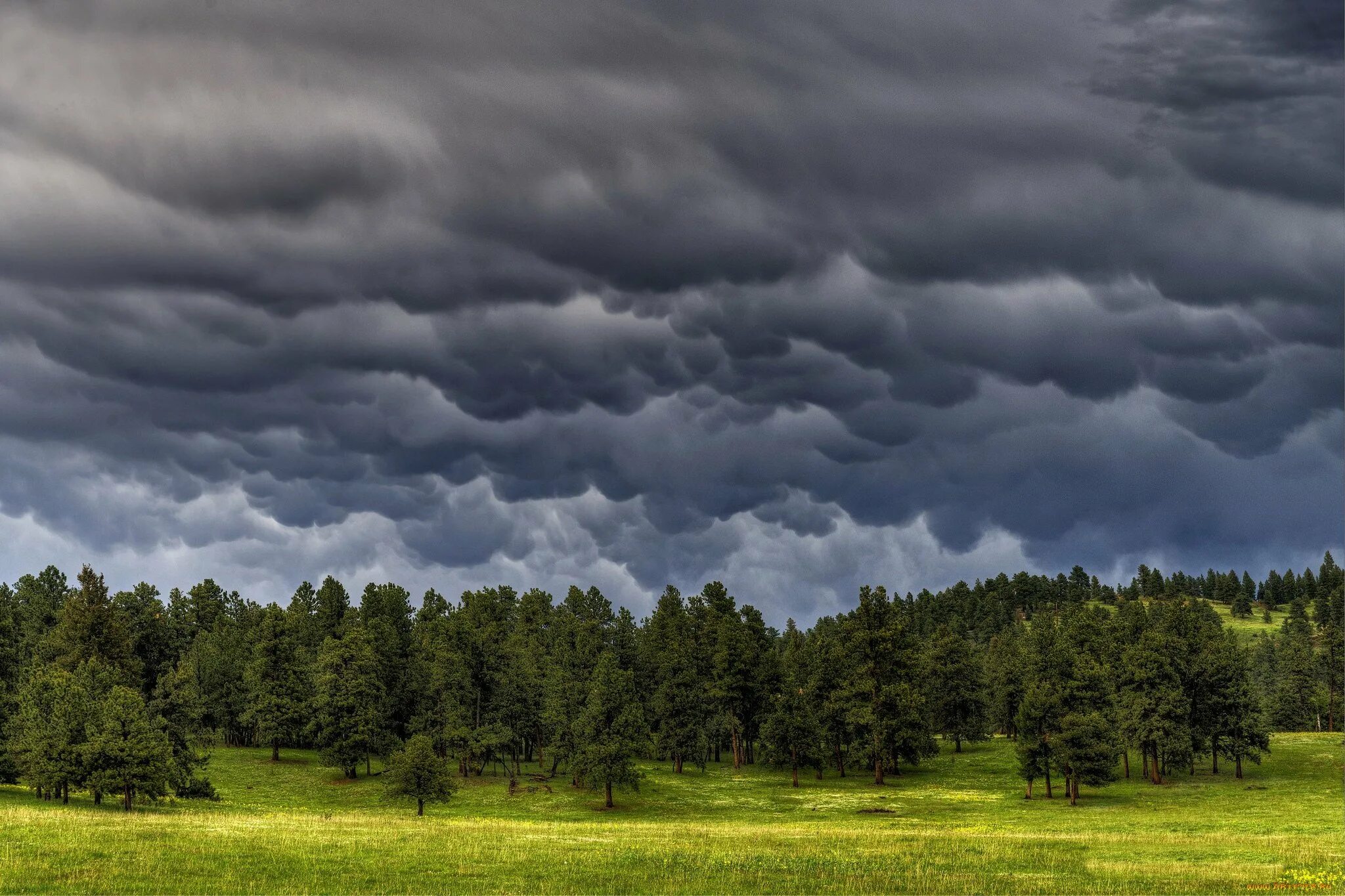 пасмурное небо. башенкообразные кучевые облака. небо с облаками. небо то все заволакивалось рыхлыми облаками то. небо то все заволакивалось рыхлыми облаками то.