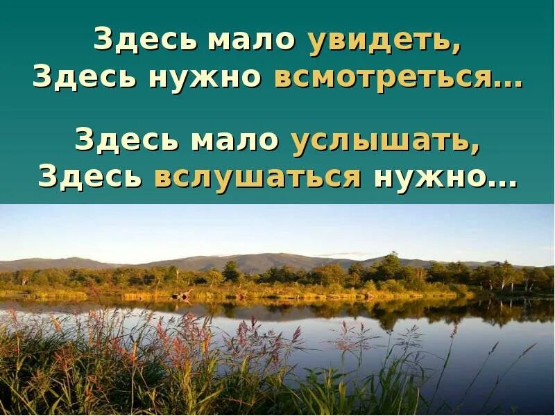 Слышать мало. Здесь мало увидеть здесь надо всмотреться. Здесь мало увидеть здесь надо всмотреться стихотворение. Стихотворение здесь мало увидеть. Здесь мало услышать здесь вслушаться нужно.