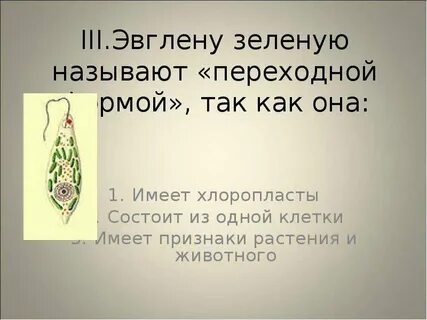 Меня назвали зеленой