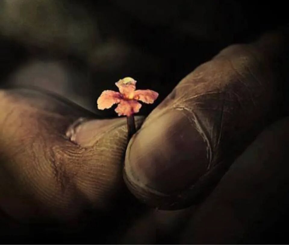 Афоризм создор. Роза аманова насаат ыры. Бул дуйнодо. Жашоо. Поэзия кыргызча.