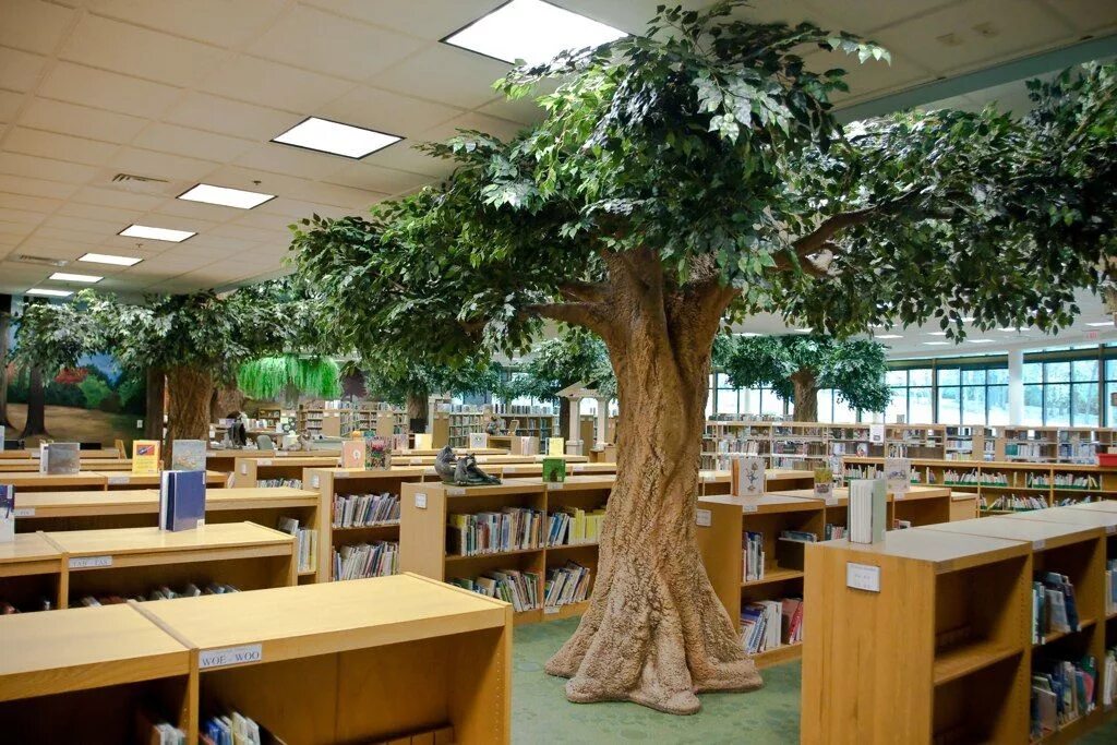 Библиотечное дерево. Настоящее дерево в библиотеке. Дизайн библиотеки деревья. Колонны в библиотеке.