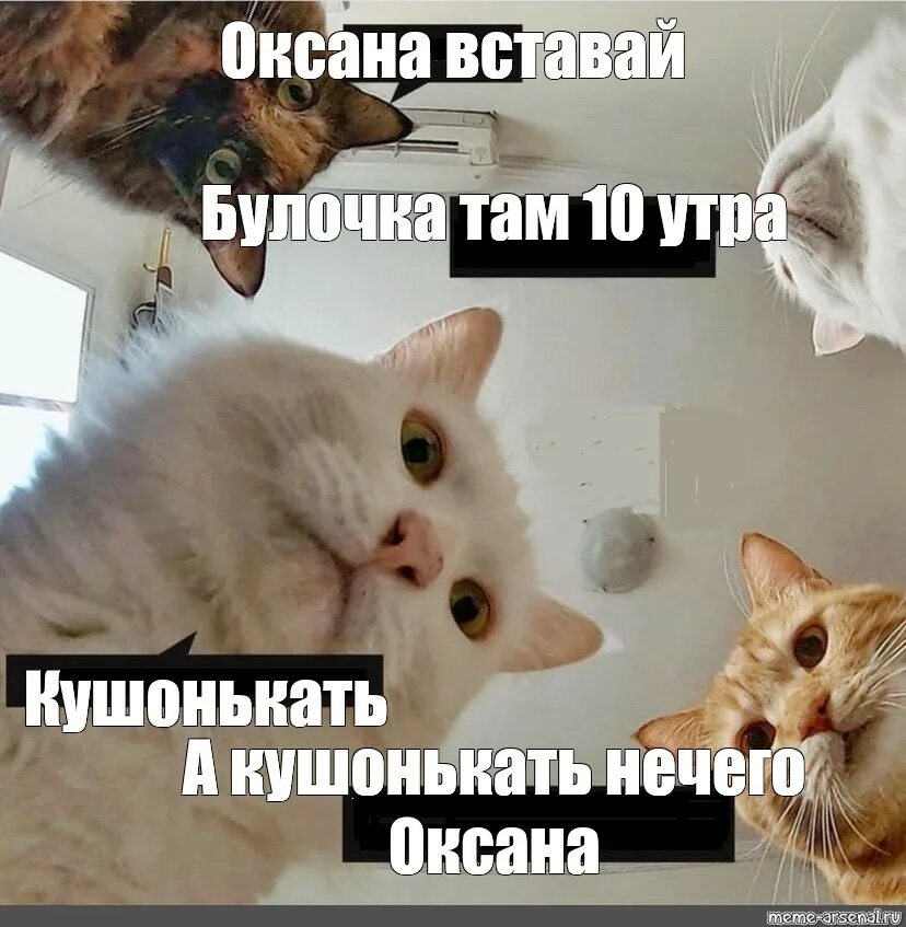 Мемы про Оксану.