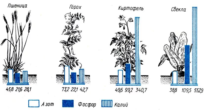 сколько солей в почве