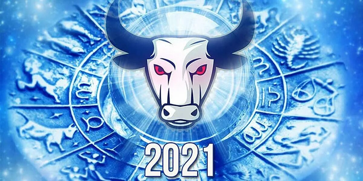 Год бика. Год быка 2021. 2021 Год металлического быка. Знак китайского зодиака бык. Символ года - бык.