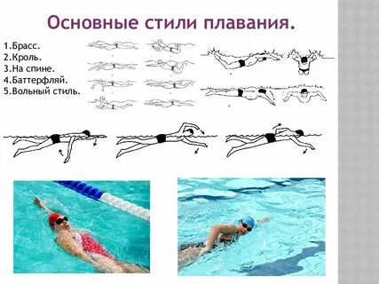 Виды плавания кроль брасс