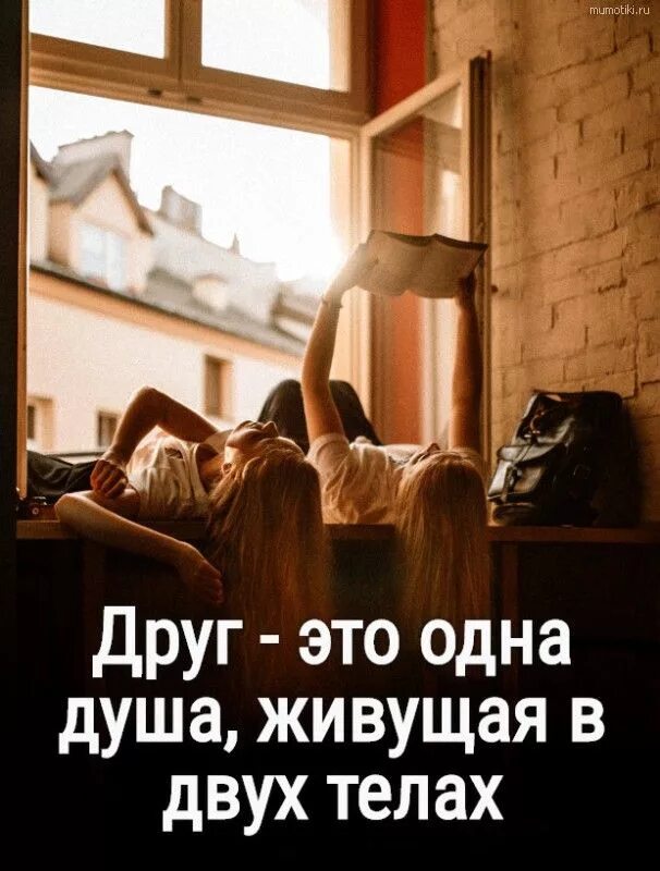Друг это одна душа живущая в двух телах аристотель. Друг это одна душа живущая в двух. Друг это одна душа живущая. Друг это одна душа в двух телах. Друг это душа живущая в двух телах аристотель.