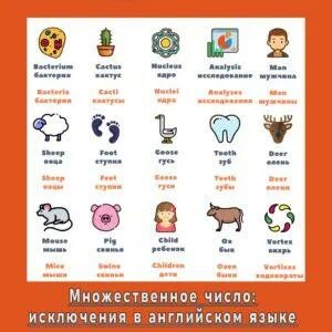 Кабанов английский
