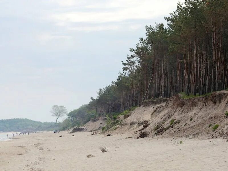 балтийское море куликово. куликово калининградская. пос куликово калининградская область. пляж куликово калининградская область. пляж куликово в калининграде.