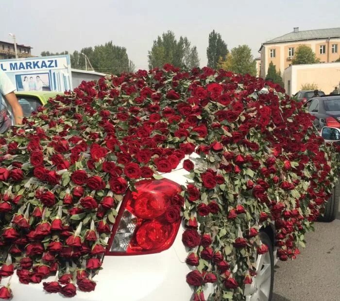 Миллион роз. Миллион роз подарить. Красивые большие букеты. Букет с 1000000 роз. Миллион роз.