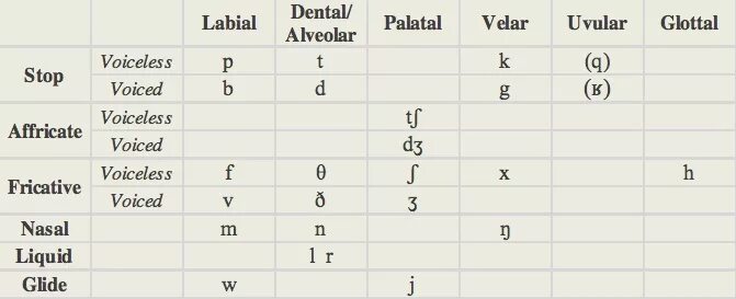 Voice stop. Alveolar consonants. Fricative consonants. Voiced and Voiceless consonants. Voiced fricatives.