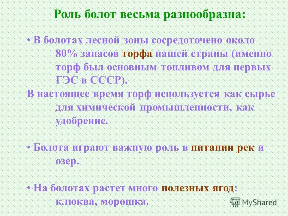 Функции болот