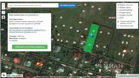 Работа лесная поляна