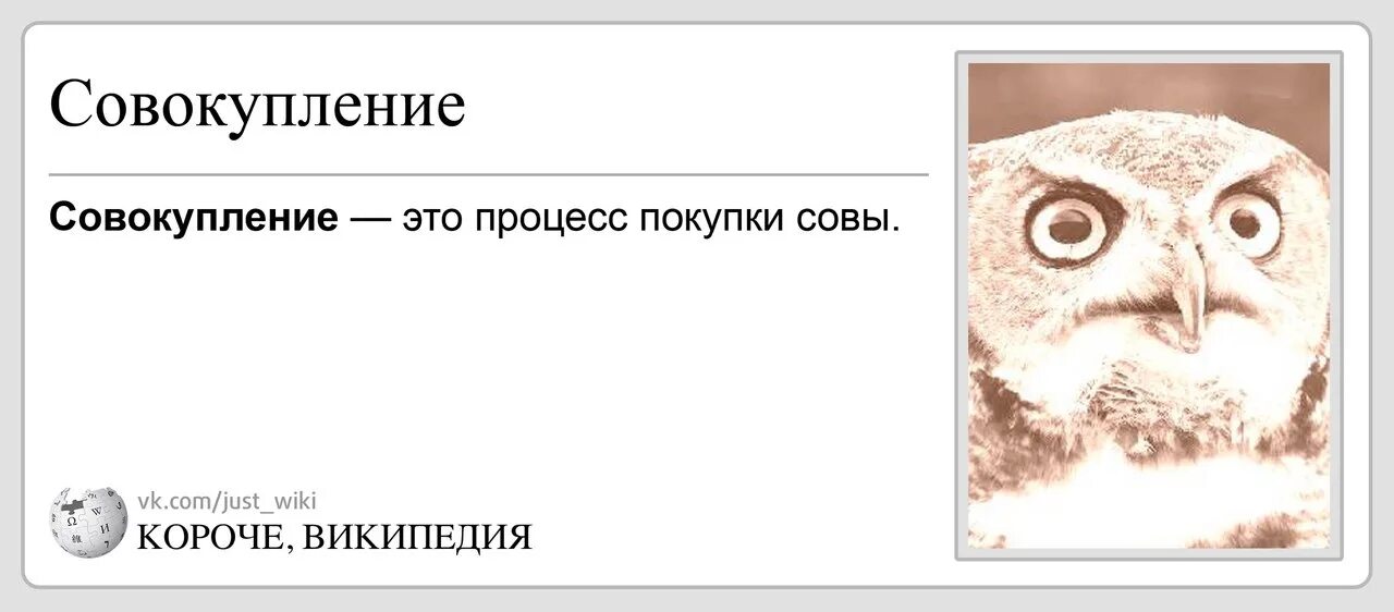 Жена совокуплялась с. Совпадение это когда Совы падают. Мемы с совами. Сова Мем. Процесс покупки Совы.