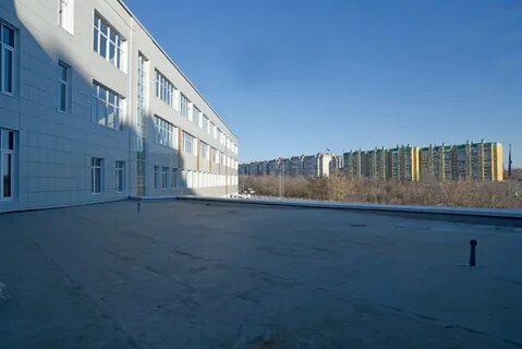Гимназия 63 курск