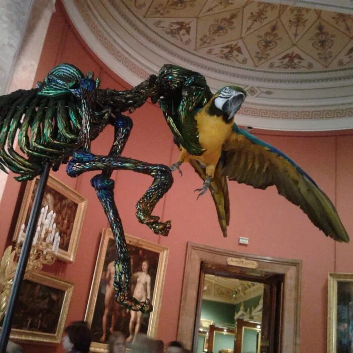 мертвые животные яна фабра в эрмитаже. фабр художник в эрмитаже. ян фабр рыцарь отчаяния воин красоты эрмитаж. эрмитаж животные. эрмитаж животные.