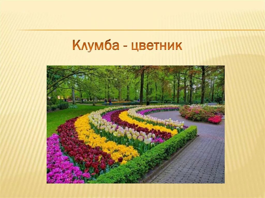 Проект клумбы. Клумба с цветами проект. Проект цветника. Школьная клумба проект. Чудесные цветники весной 2 класс