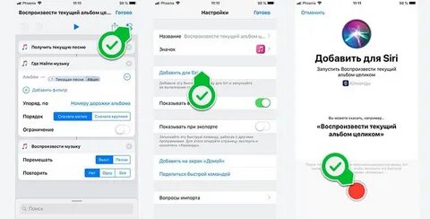 Приложение в телефоне сбп