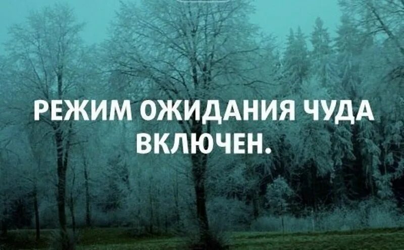 День ожидания чуда. Статусы про ожидание. Режим ожидания чуда. В ожидании чудес.