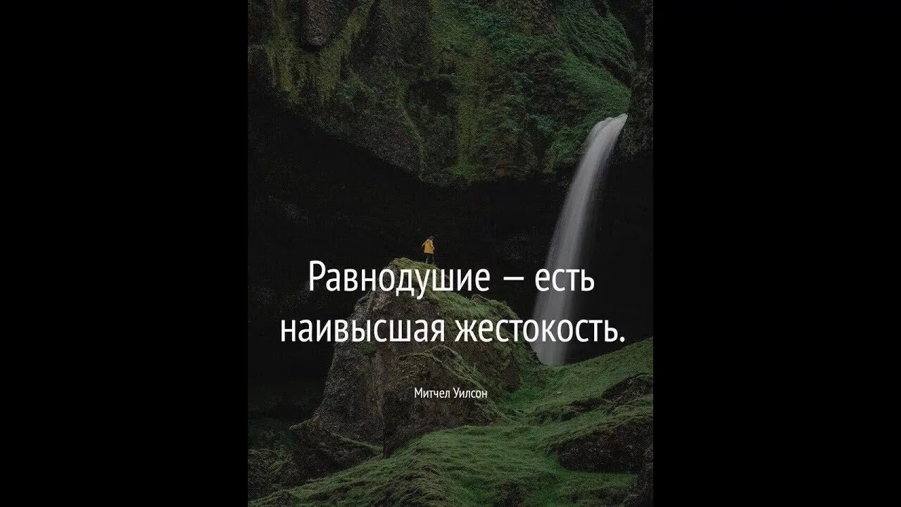 Равнодушие является. Равнодушие наивысшая жестокость. Равнодушие есть наивысшая жестокость. Безразличие есть наивысшая жестокость. Равнодушие есть наивысшая жестокость сочинение.