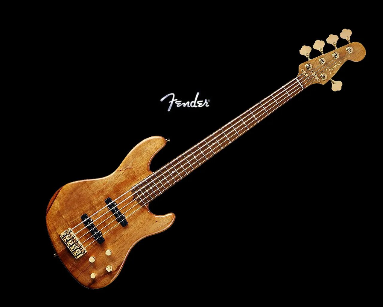 Instrumental bass. Fender Jazz Bass head. Бас гитара Terris. Бас гитара Fender Jazz Bass. Бас гитара Роден.