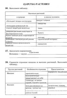 Сравните строение низших и высших